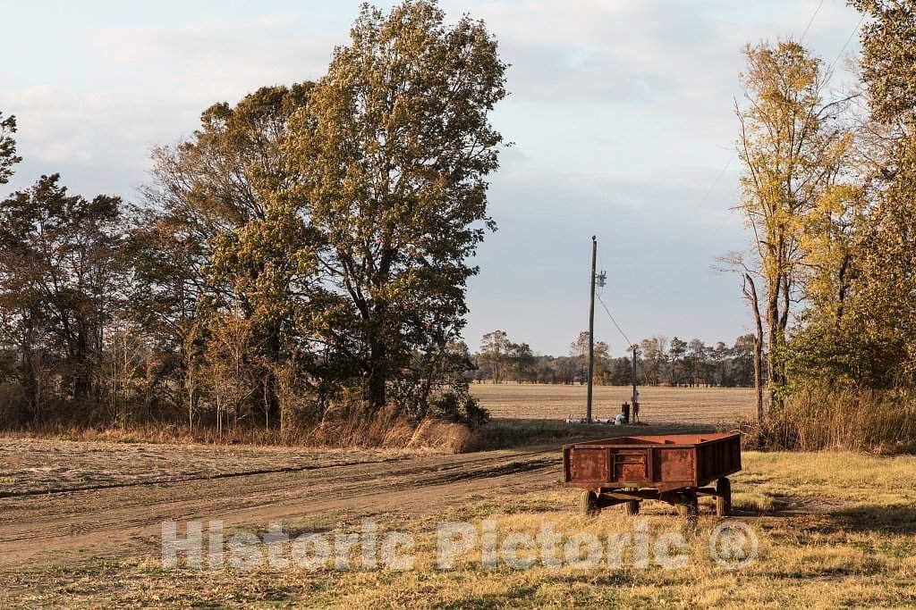 Photo - Old farm wagon near Inverness, Mississippi- Fine Art Photo Reporduction