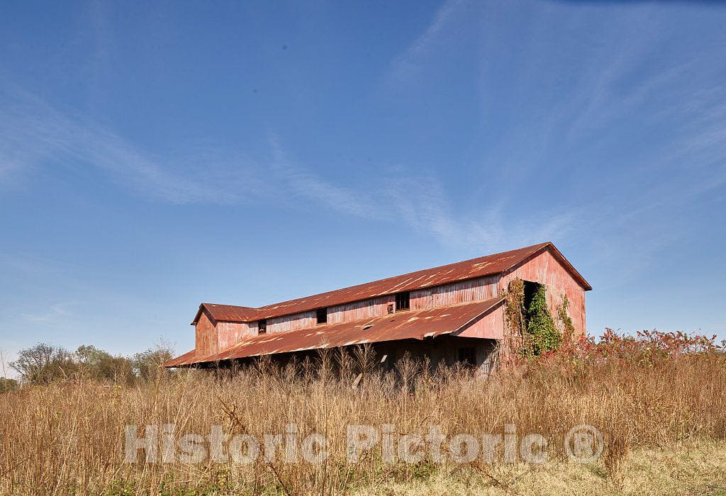 Photo - Large, Abandoned barn Near Taylor, Mississippi- Fine Art Photo Reporduction