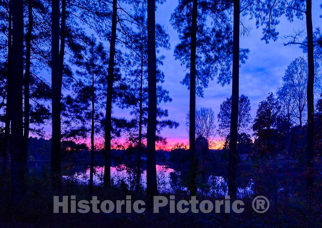 Photo - Sunset Through The Trees in Rougemont, Near Durham, North Carolina- Fine Art Photo Reporduction