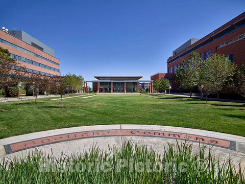 Photo - Boettcher Commons at The University of Colorado Anschutz Medical Center Campus in Aurora, Colorado, is The Primary locus of Education Buildings on Campus