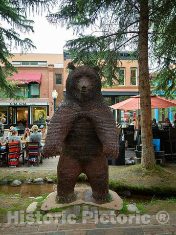 Photo - Big Downtown Bear in The Old Mining Town of Aspen, Now a Popular Arts and Skiing Destination- Fine Art Photo Reporduction