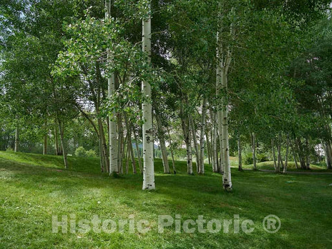 Photo - Tranquil setting at the Aspen Institute, a nonprofit meeting center in the old mining town of Aspen, now a popular arts and skiing destination- Fine Art Photo Reporduction