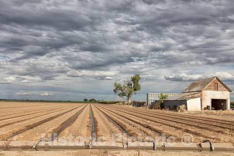 Photo - Farm field in Pueblo County, Colorado- Fine Art Photo Reporduction