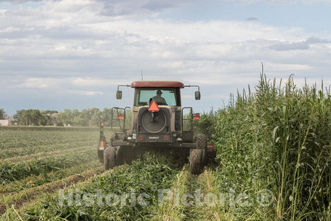 Photo - Farmer at Work in a Field in Pueblo County, Colorado- Fine Art Photo Reporduction