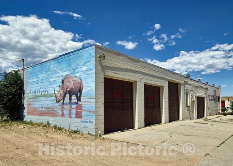 Photo - Why is Art Depicting a rhinocerous Present on This Multi-Unit Garage in Denver, Colorado? Most Likely Because It's Found in The city's Artsy RiNo Neigborhood