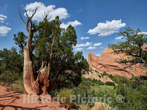 Photo - Formation and surroundings in The Garden of The Gods, a Public Park Full of red-Rock outcroppings in Colorado Springs, Colorado- Fine Art Photo Reporduction