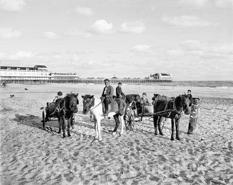 Historic Black & White Photo - Atlantic City on the Jersey Shore - Ponies for Rent, Atlantic City, c1900 -
