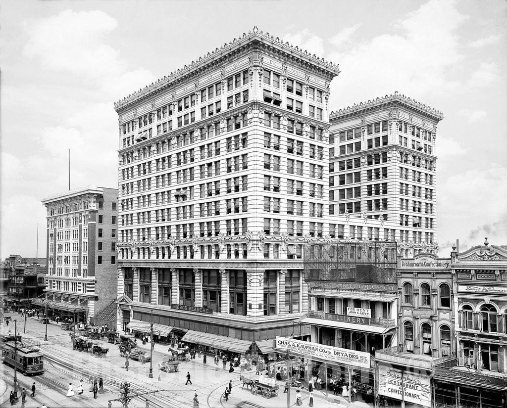 New Orleans Historic Black & White Photo, Maison Blanche Department Store, c1910 -