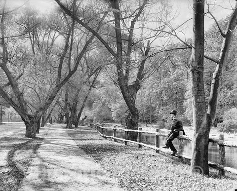 Philadelphia Historic Black & White Photo, A Perch in Fairmount Park, c1900 -