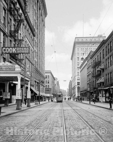 Rochester Historic Black & White Photo, South Avenue, c1903 -