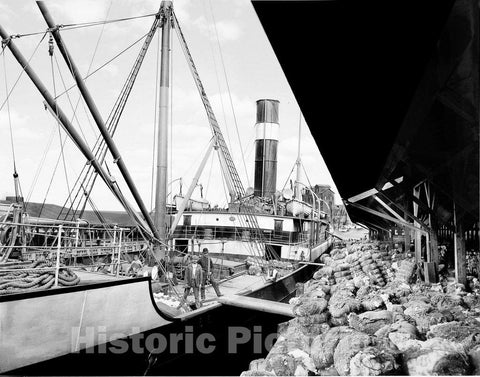 Savannah Historic Black & White Photo, Dock Workers Preparing to Ship Cotton, c1895 -