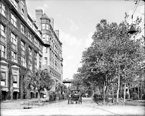 Savannah Historic Black & White Photo, Carriages on Liberty Street, c1904 -