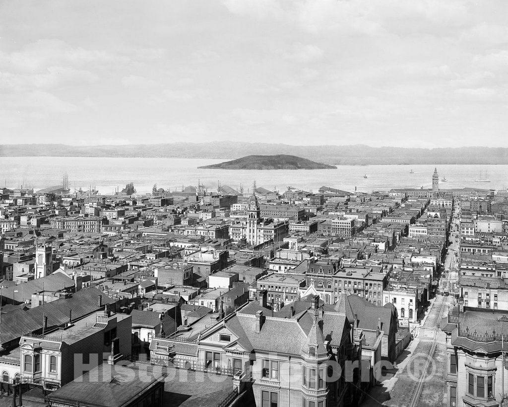 Historic Black & White Photo - San Francisco, California - View of the Bay, c1905 -