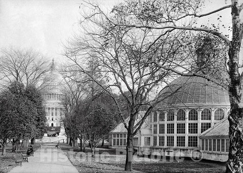 Washington D.C. Historic Black & White Photo, U.S. Botanical Gardens, The Capitol, c1917 -