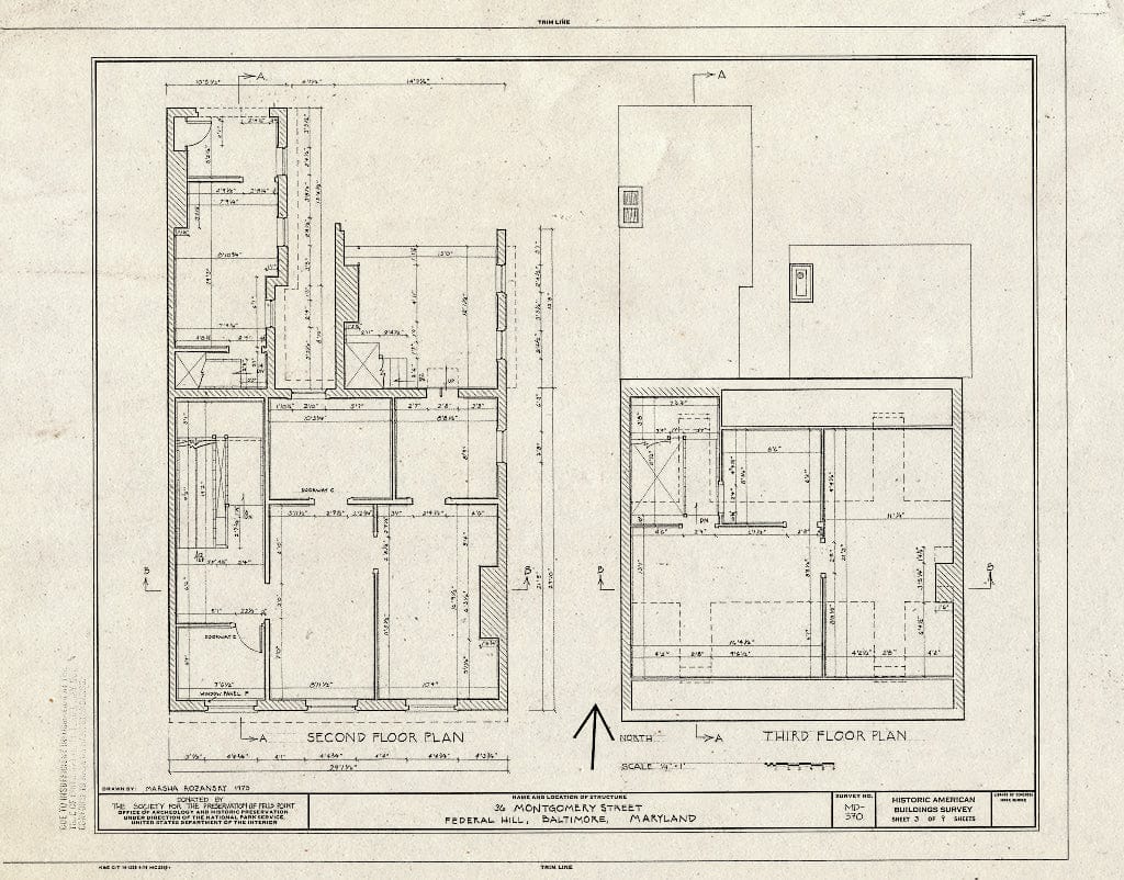 Blueprint HABS MD,4-BALT,78- (Sheet 3 of 9) - 36 Montgomery Street (House), Baltimore, Independent City, MD