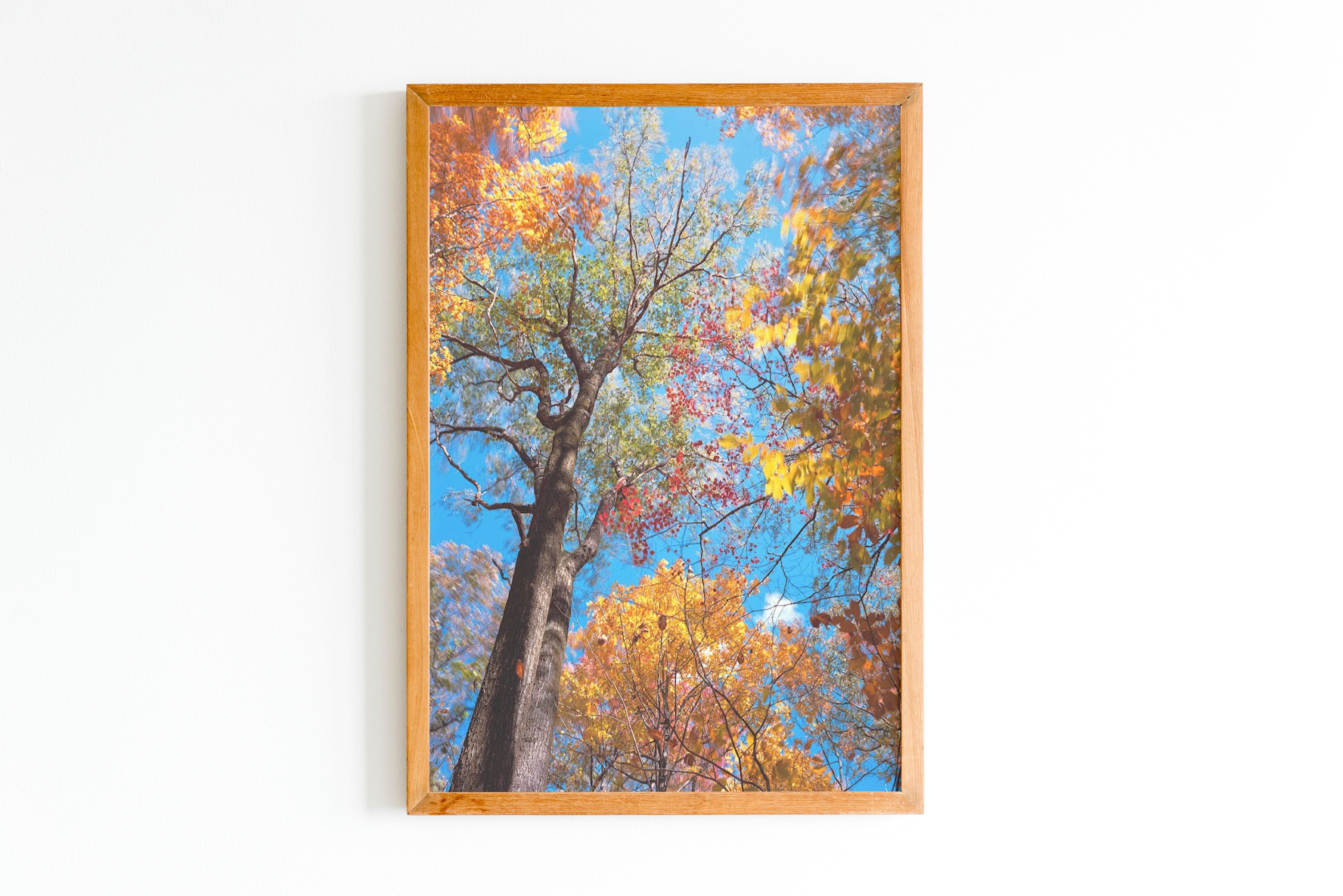 Autumn Riot